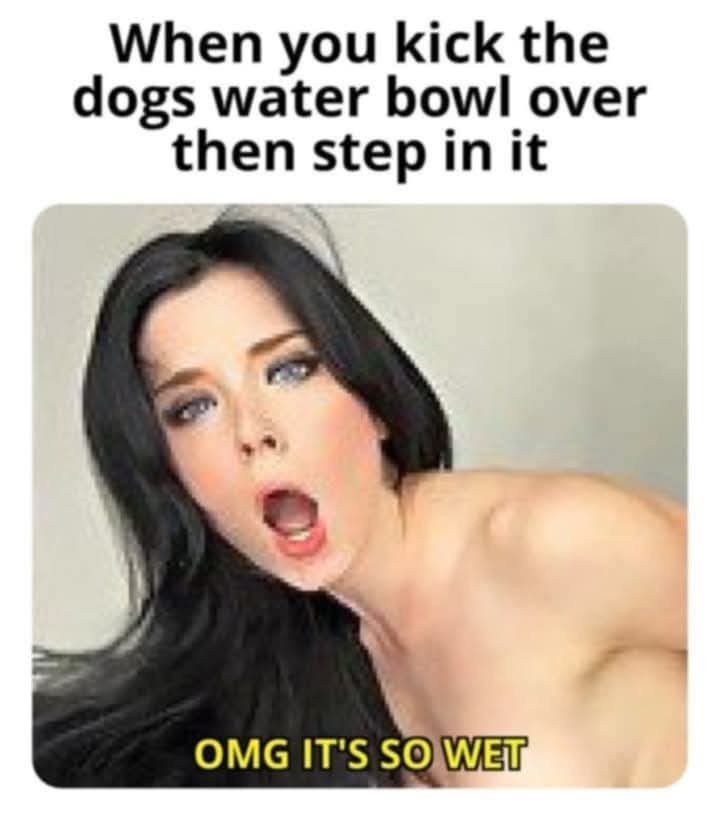 20 Memes That Took a Walk on the Naughty Side 9 Kick the dogs bowl