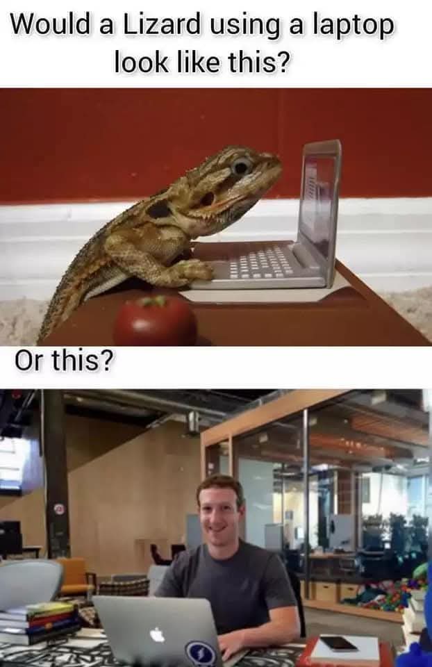 20 Memes That Have Zero Context and Unlimited Confidence 10 Lizard using laptop