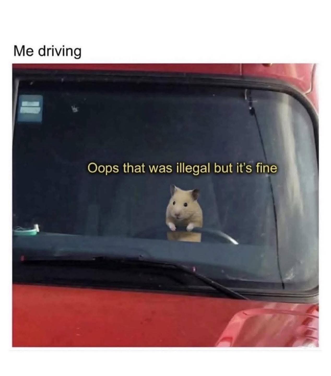 20 Memes That Jump Topics Like a Caffeinated Squirrel 13 Me driving
