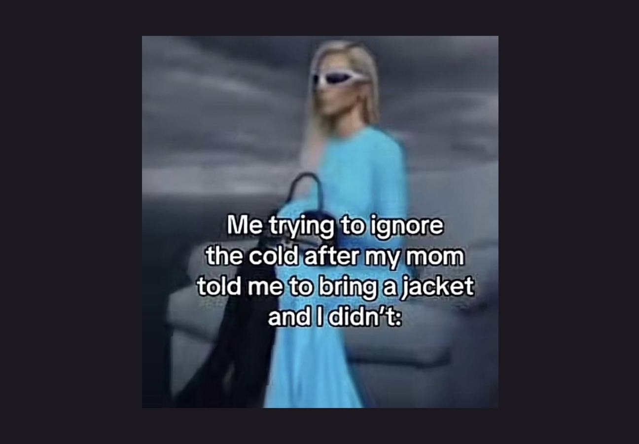 Memes That Are Loud, Confusing, and Weirdly Confident - FG.jpeg