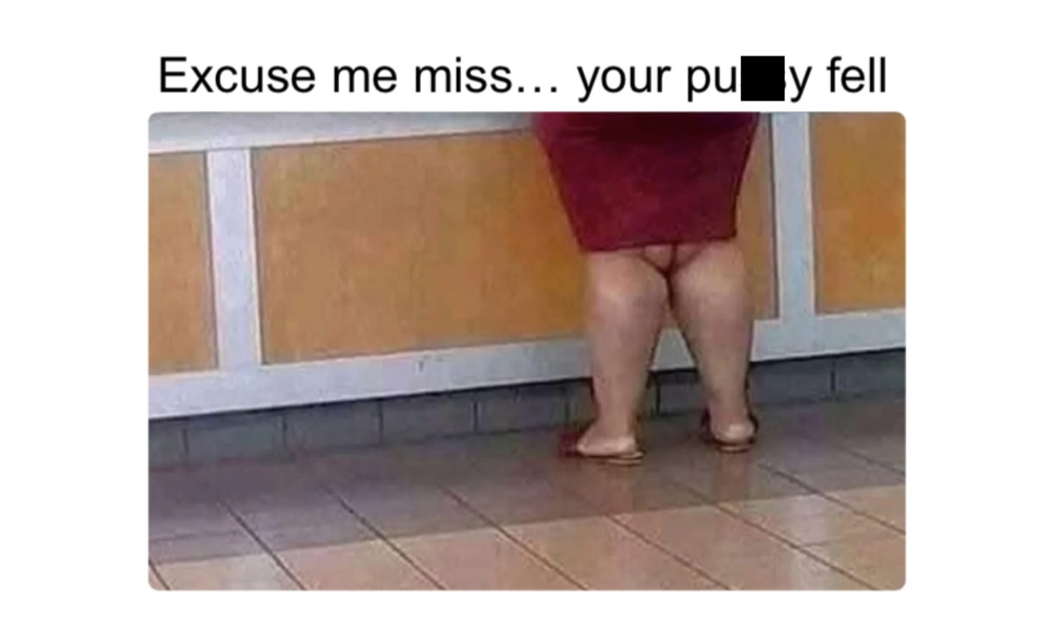 Memes That Are Too Smart to Be Dumb, Too Dumb to Be Smart - FG.jpeg