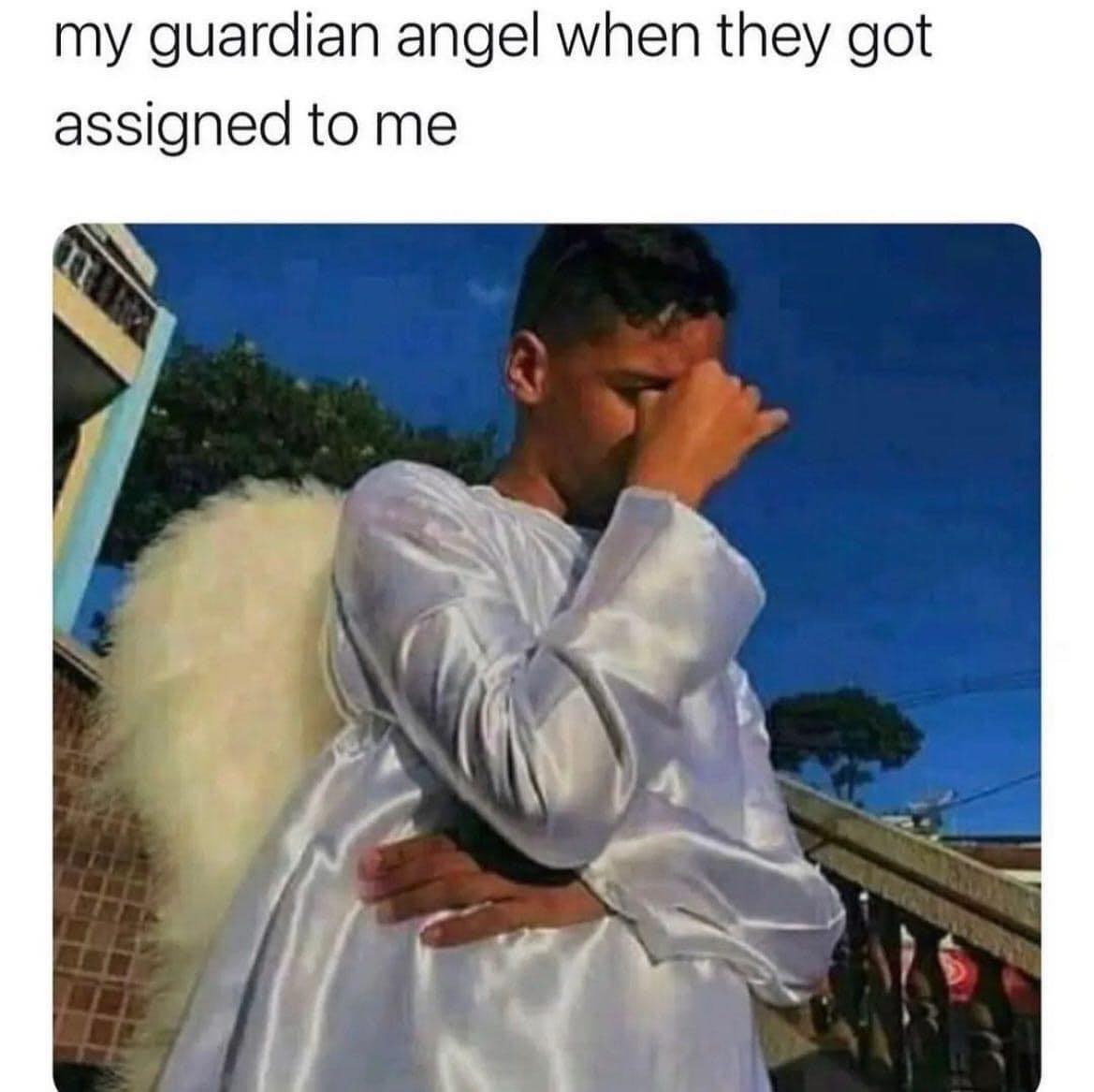 20 Memes That Used Sarcasm as a Personality Trait 12 My guradian angel