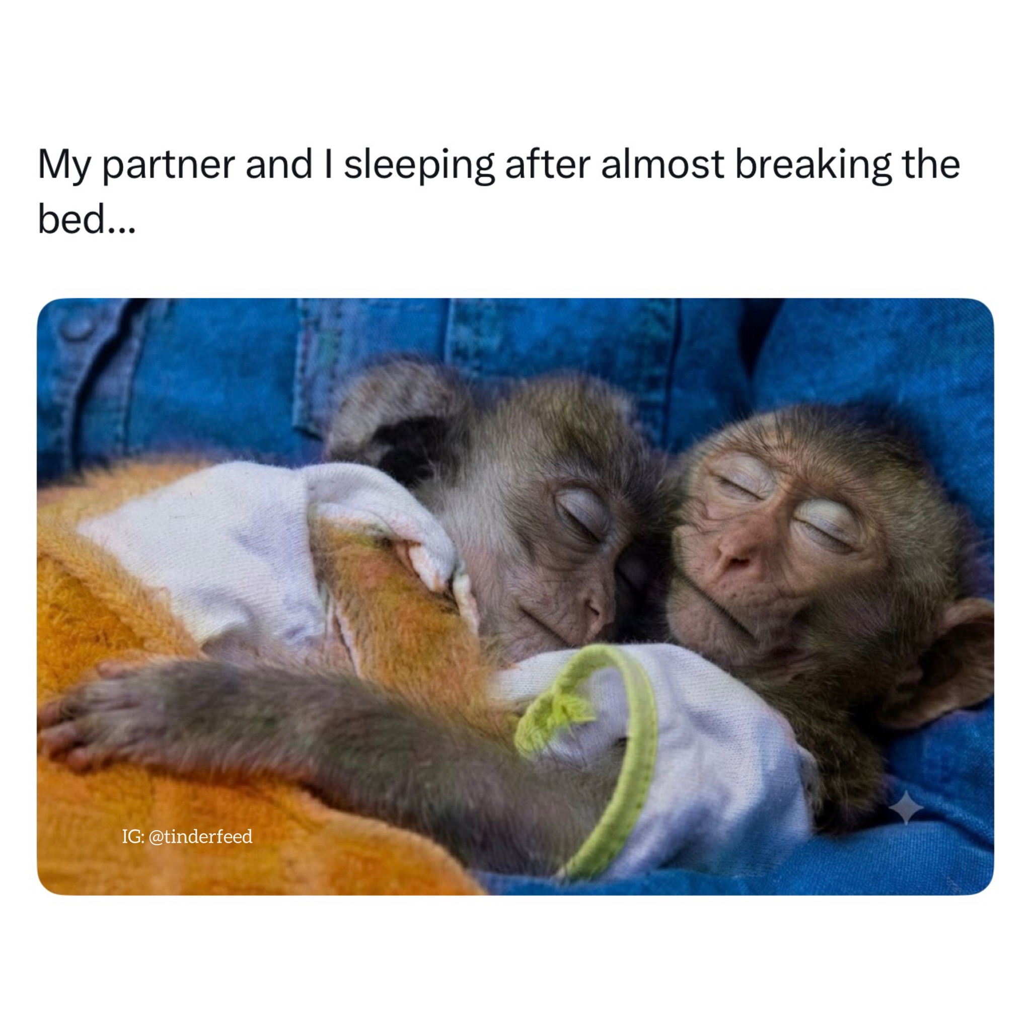 30 Cuddle Memes to Snuggle Your Way to Happiness! 30 My partner and I