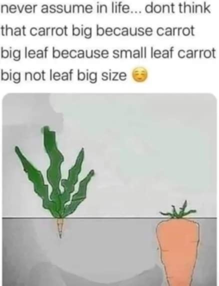 Never assume in life