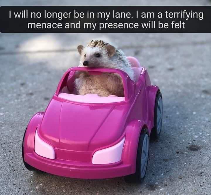 No longer in my lane