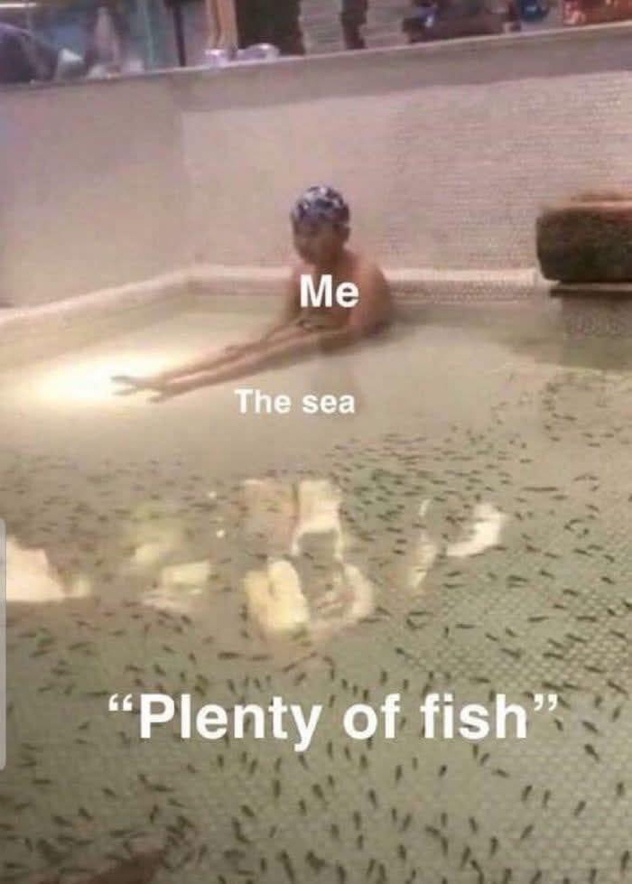 Pleanty of fish