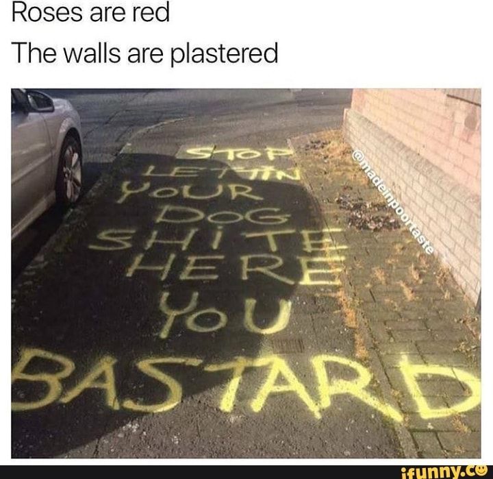 Roses are red