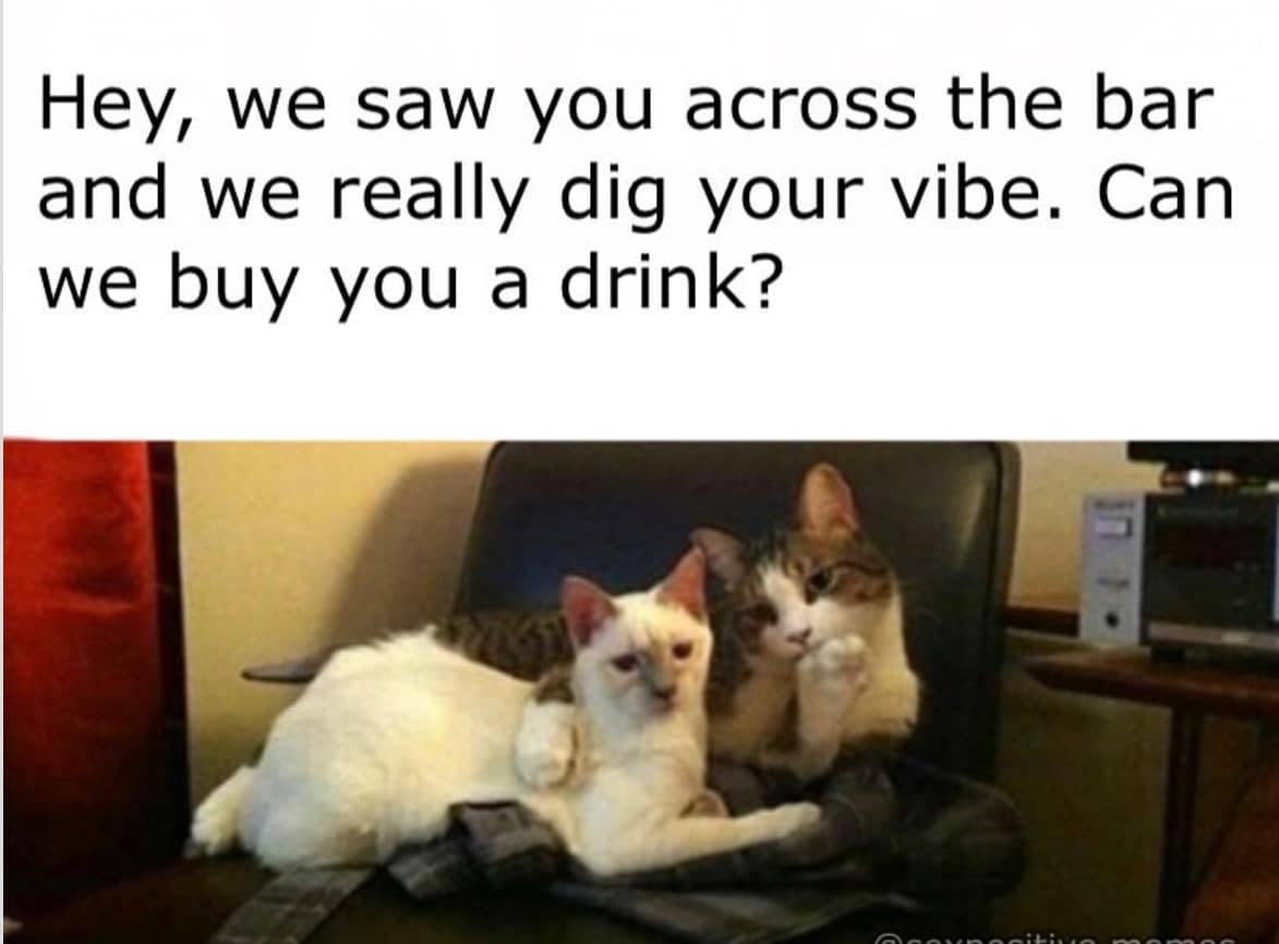 20 Memes That Walked In, Eyebrow Raised 13 Saw you acroos the bar