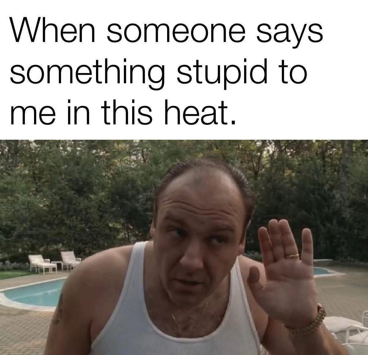 Says something stuipid