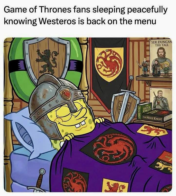 20 Game of Thrones Memes That Aged Better Than the Final Season 15 Sleeping peacefully