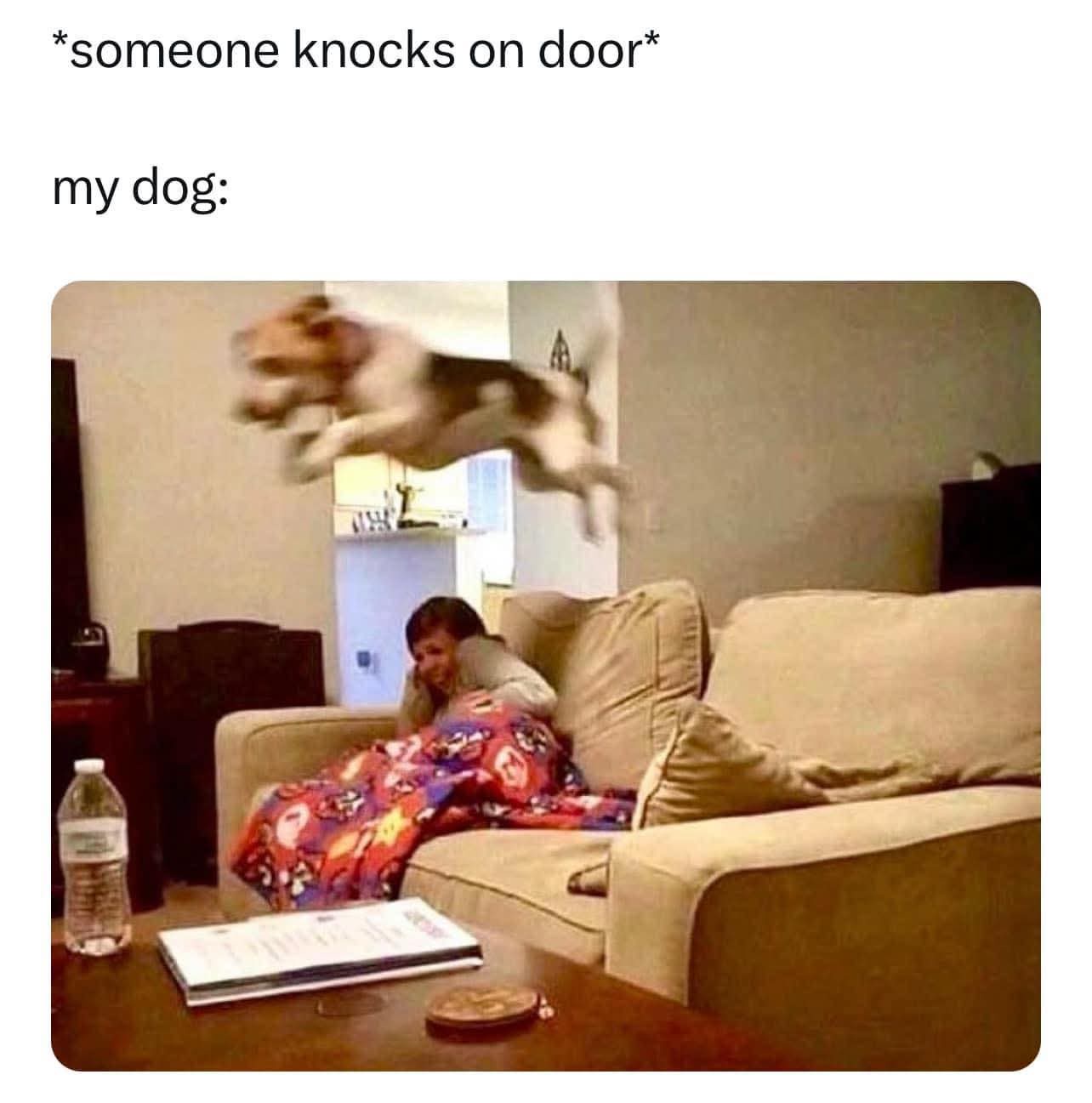 20 Memes That Think They’re Funny 9 Someone knock on door