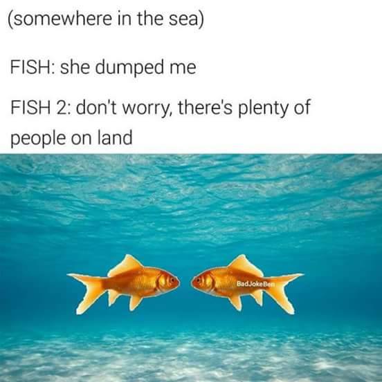 Somewhere in the sea