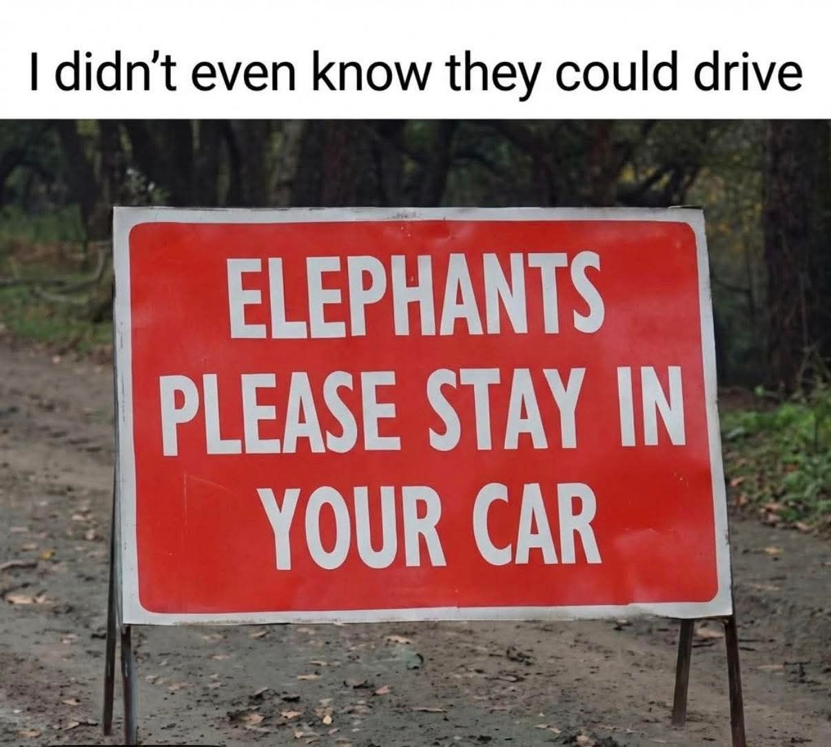 20 Memes That Are Light on the Outside, Loud on the Inside 17 Stay in your car