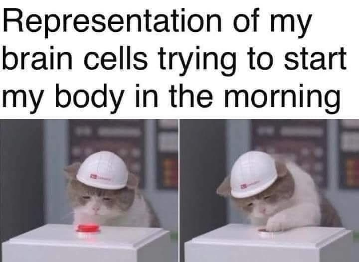 Strat my body in morning