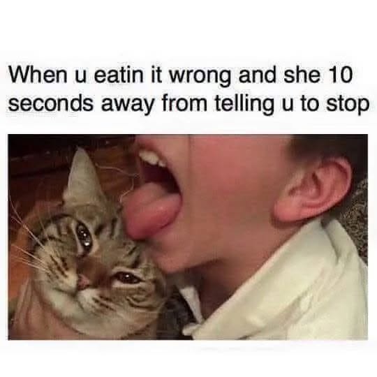 30 Provocative Memes That Look Innocent… Until They Don’t 32 Telling it to stop