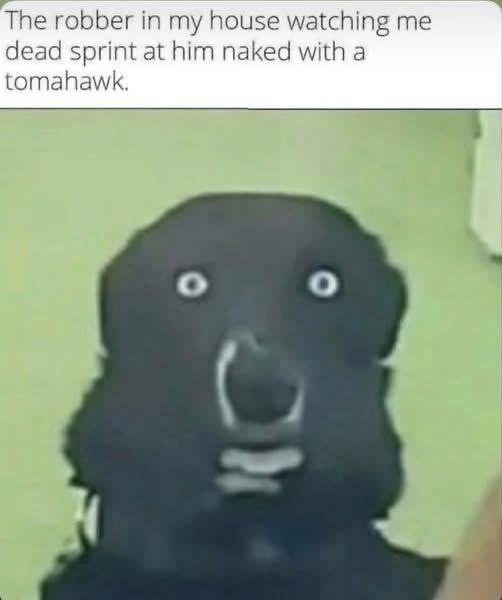 The robber in my house