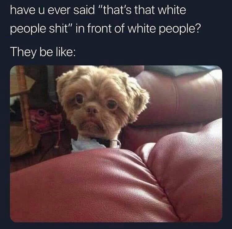 20 Memes That Have Zero Context and Unlimited Confidence 14 They be like