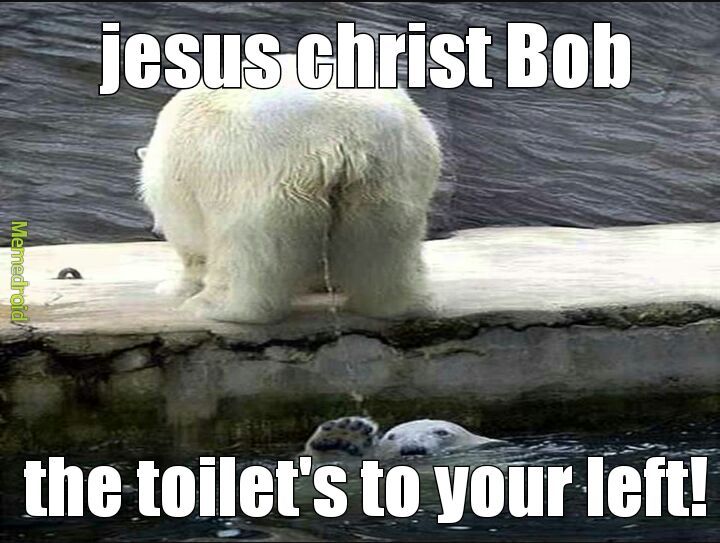 20 Polar Bear Memes to Make International Polar Bear Day Unbearably Funny 18 Toilets to your left