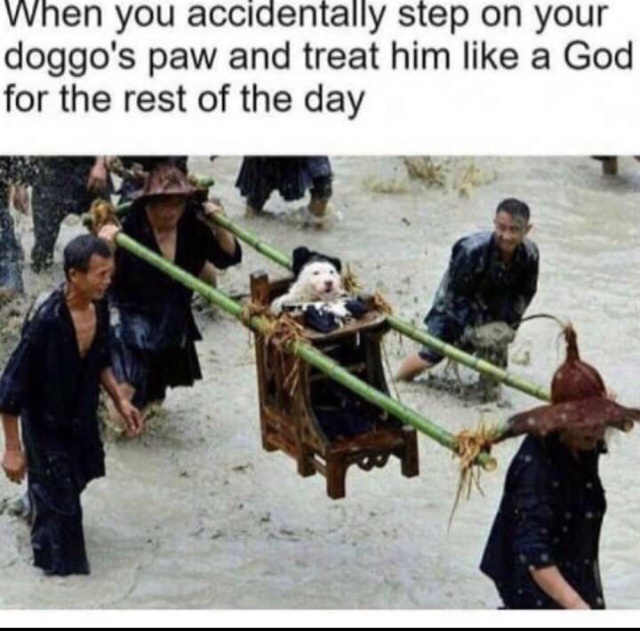 Treat him like a god