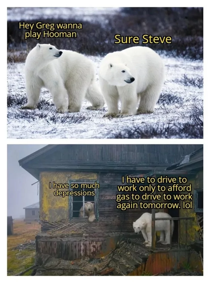 20 Polar Bear Memes to Make International Polar Bear Day Unbearably Funny 19 Wanna play hooman