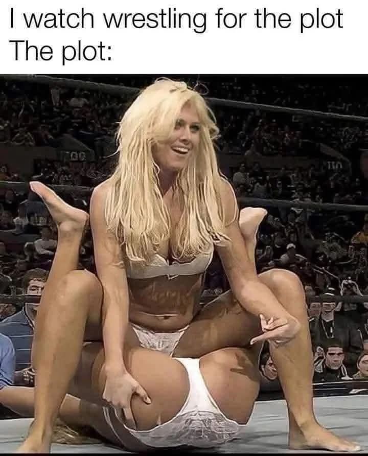 20 Memes That Took a Walk on the Naughty Side 16 Watch wrestling