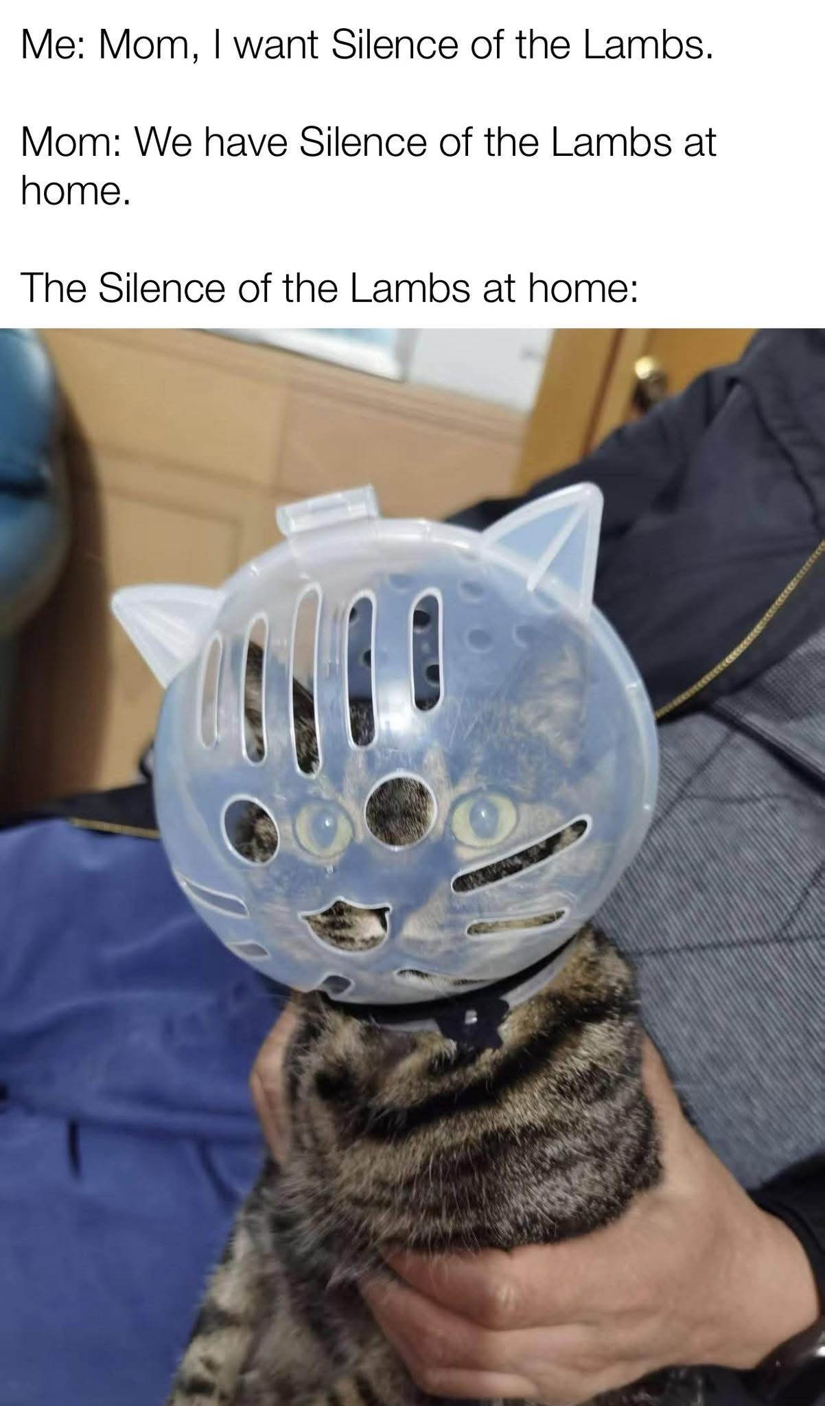 40 Clawsome Cat Memes: Get Ready To Laugh Your Whiskers Off! 42 We have silence of lambs at home