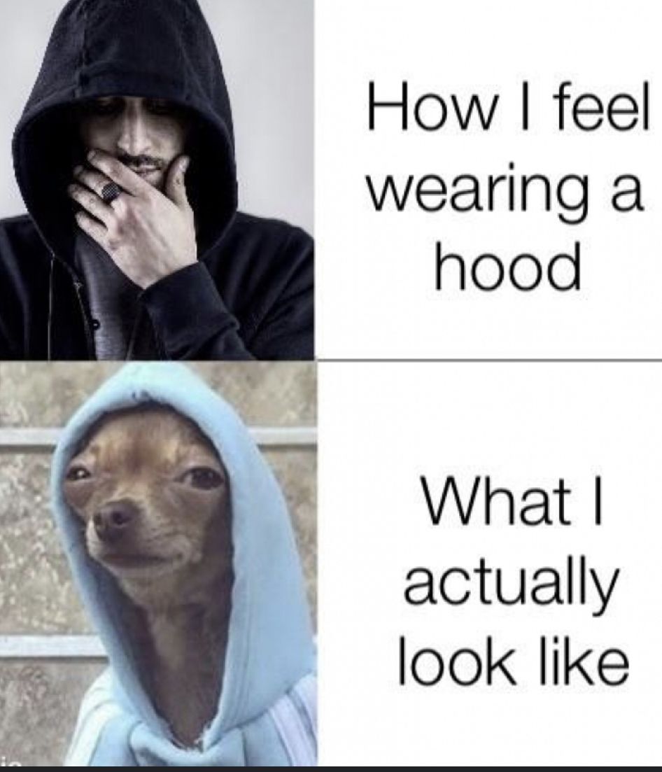 20 Memes That Used Sarcasm as a Personality Trait 19 Wearing a hoodie