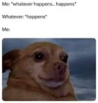 Memes That Are Sweet, Spicy, and Slightly Suspicious