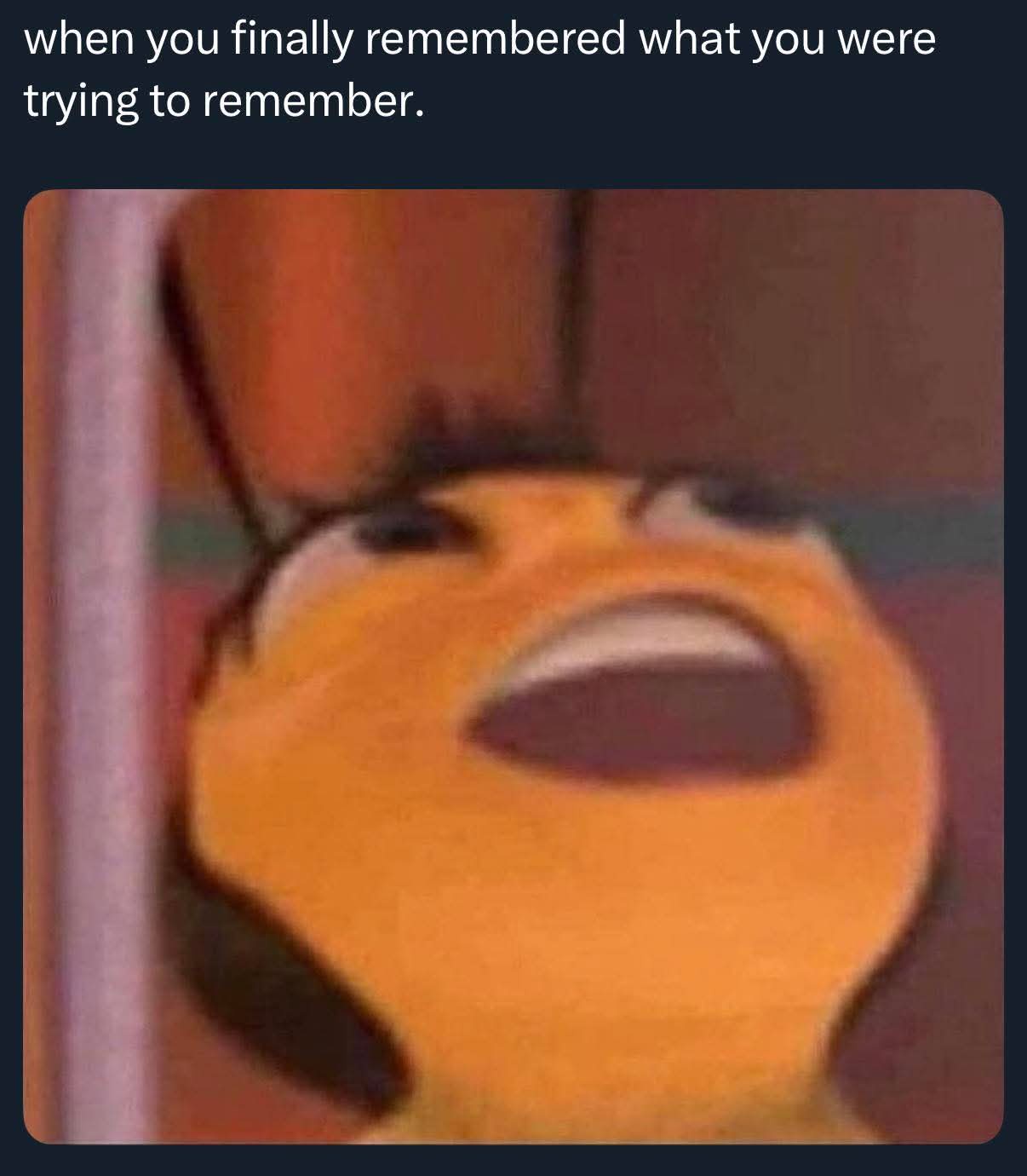 20 Memes That Jump Topics Like a Caffeinated Squirrel 20 When you finally remembered