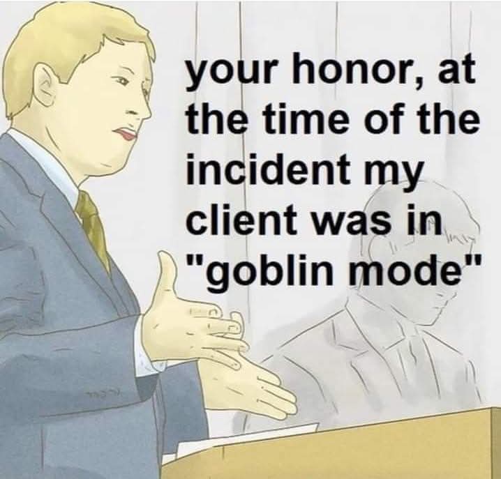 20 Memes That Have Zero Context and Unlimited Confidence 19 Your honor