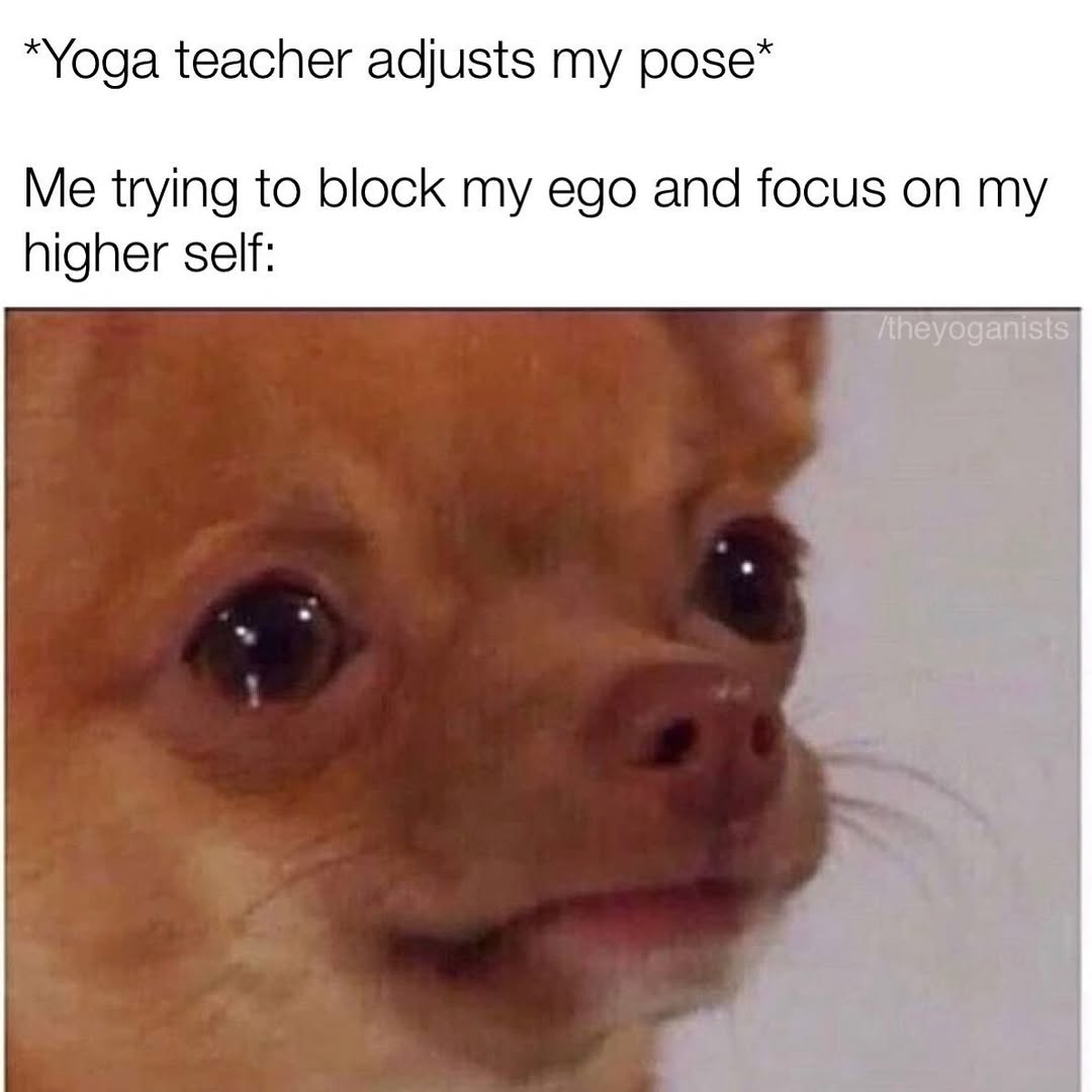 40 Hilarious Yoga Memes To Celebrate International Yoga Day 39 adjusts my pose