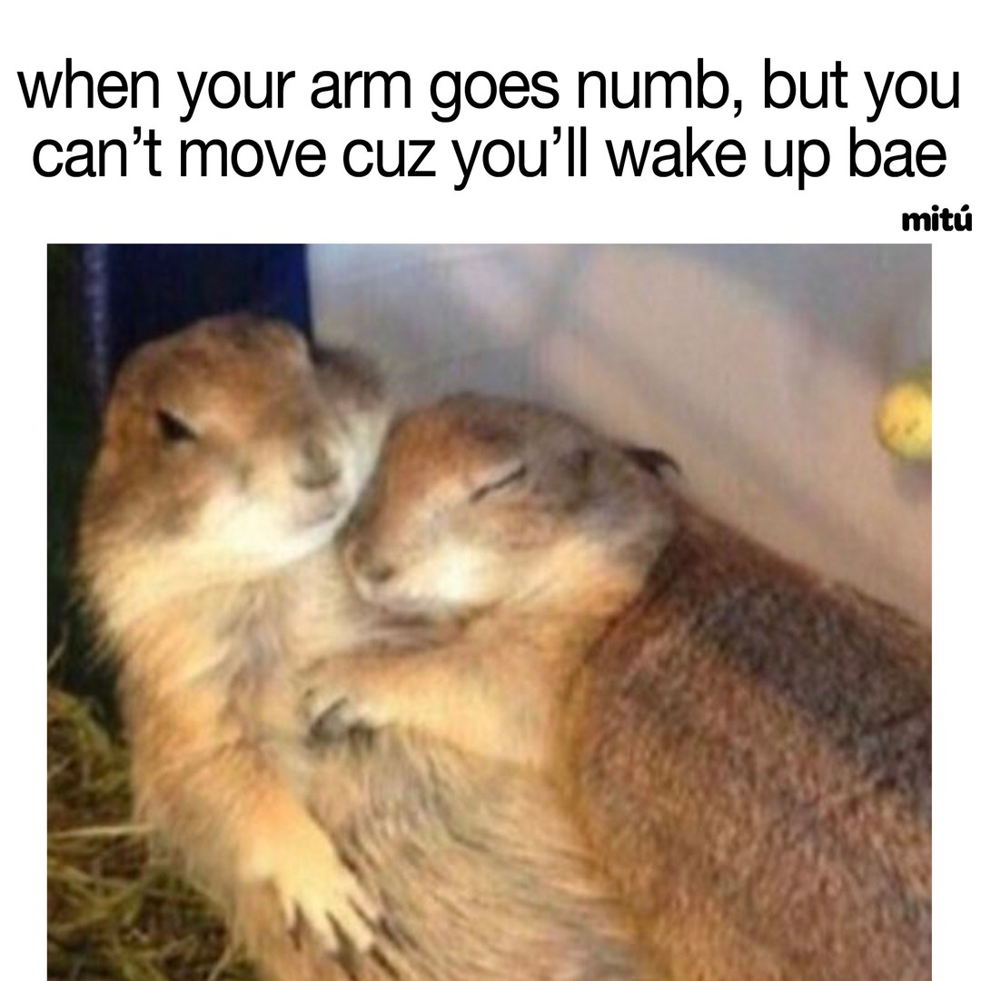 30 Cuddle Memes to Snuggle Your Way to Happiness! 28 arm goes numb