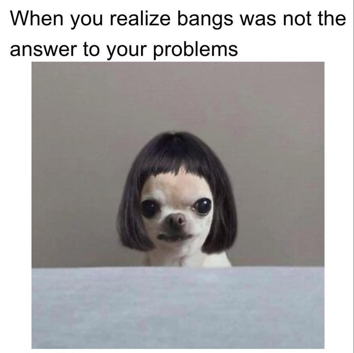 bangs was not the answer
