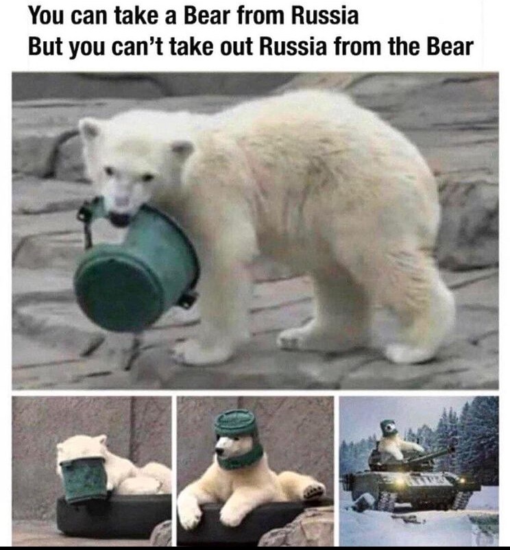 20 Polar Bear Memes to Make International Polar Bear Day Unbearably Funny 2 bear from russia