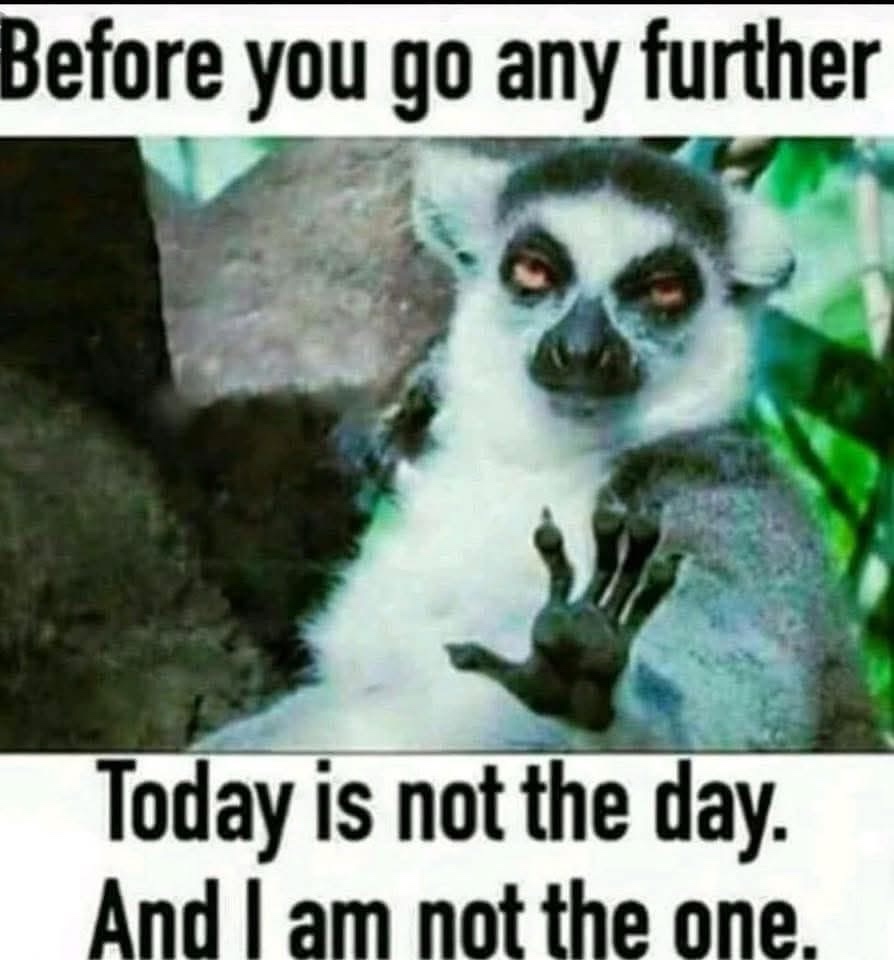 before you go any further