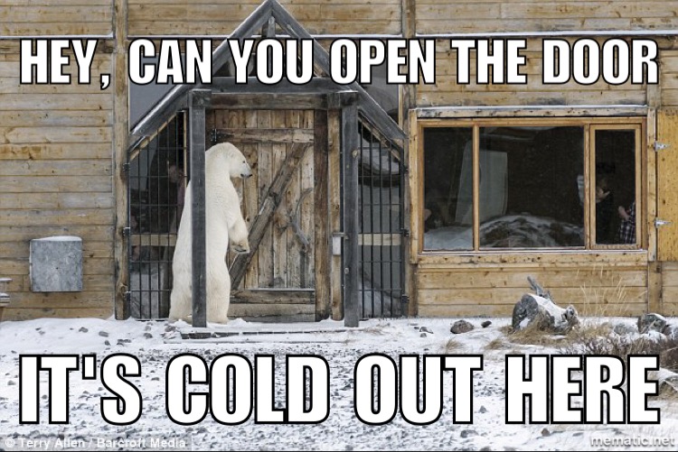 20 Polar Bear Memes to Make International Polar Bear Day Unbearably Funny 3 can you open door