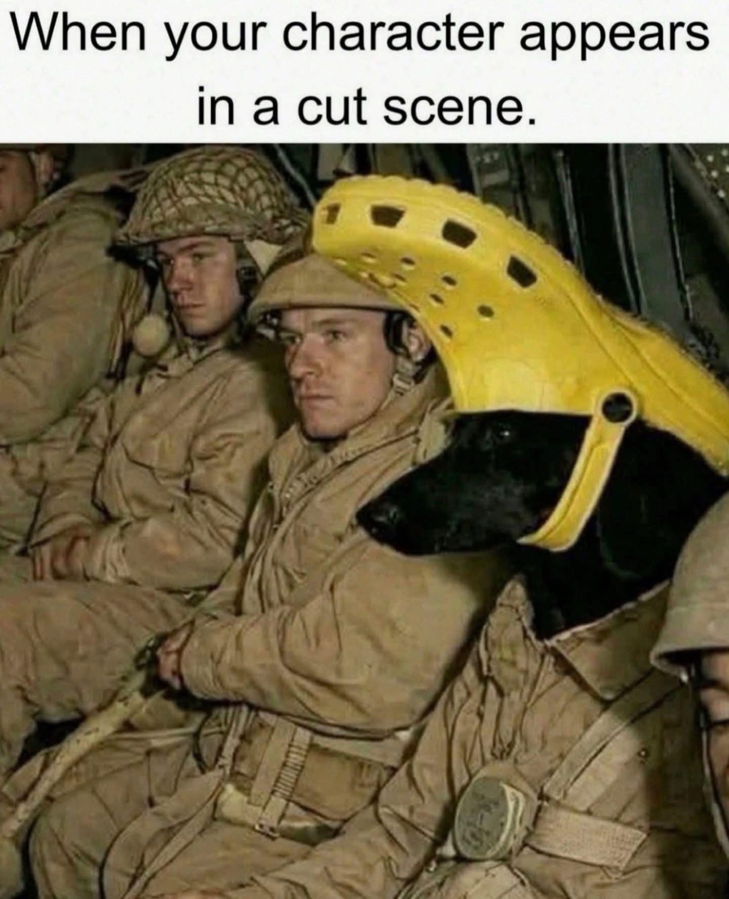 45 Funny "Dog Memes" That Will Surely Make You Smile 44 character appears in
