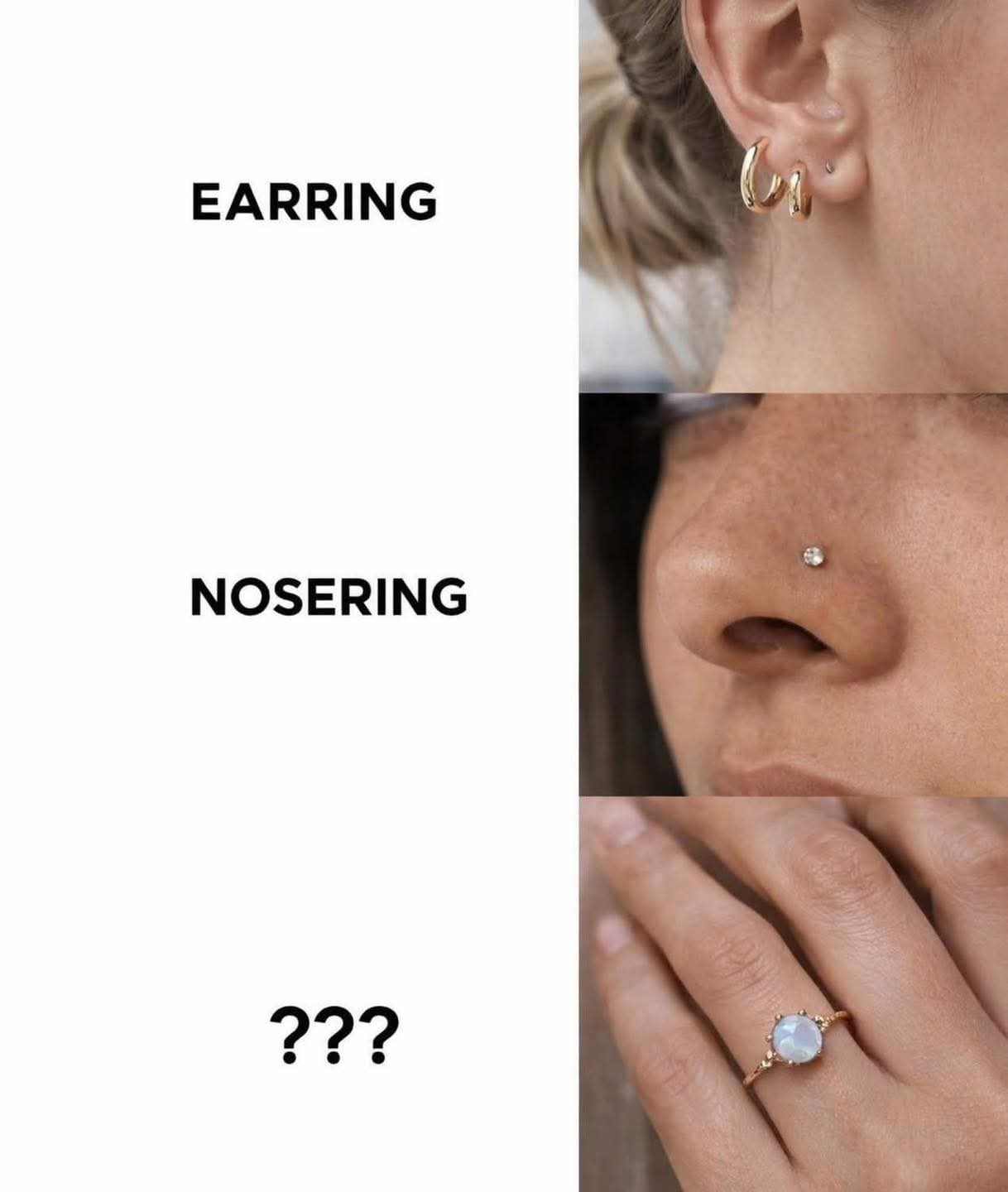 earring nose ring