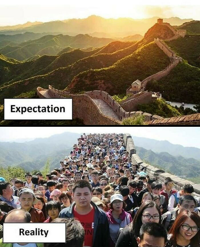expectation vs reality