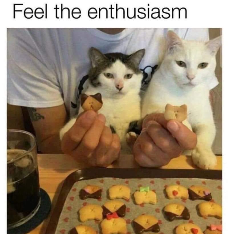 20 Memes That Make You Laugh Before Your Brain Can Stop You 7 feel the nethu