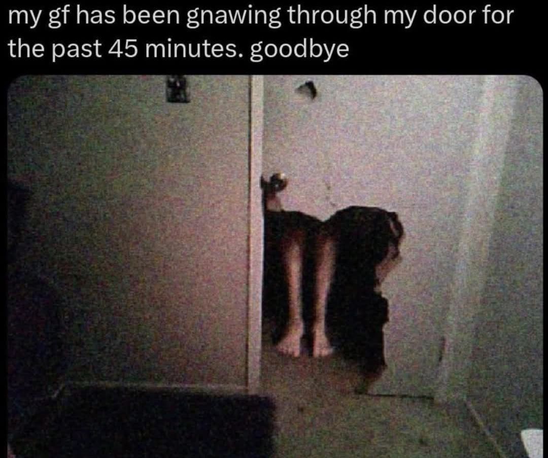 gf has been gnawing thru door