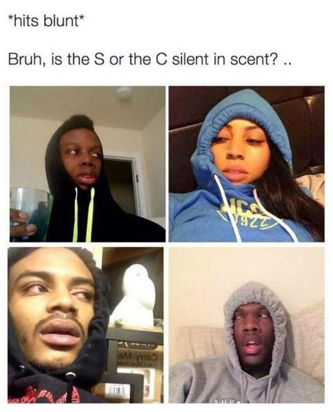 hits blunt
