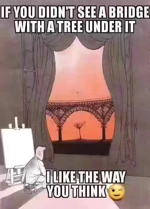 50 Dirty Mind Memes That Will Prove If You Have A Dirty Mind Or Not 49 if you didnbt see a brige
