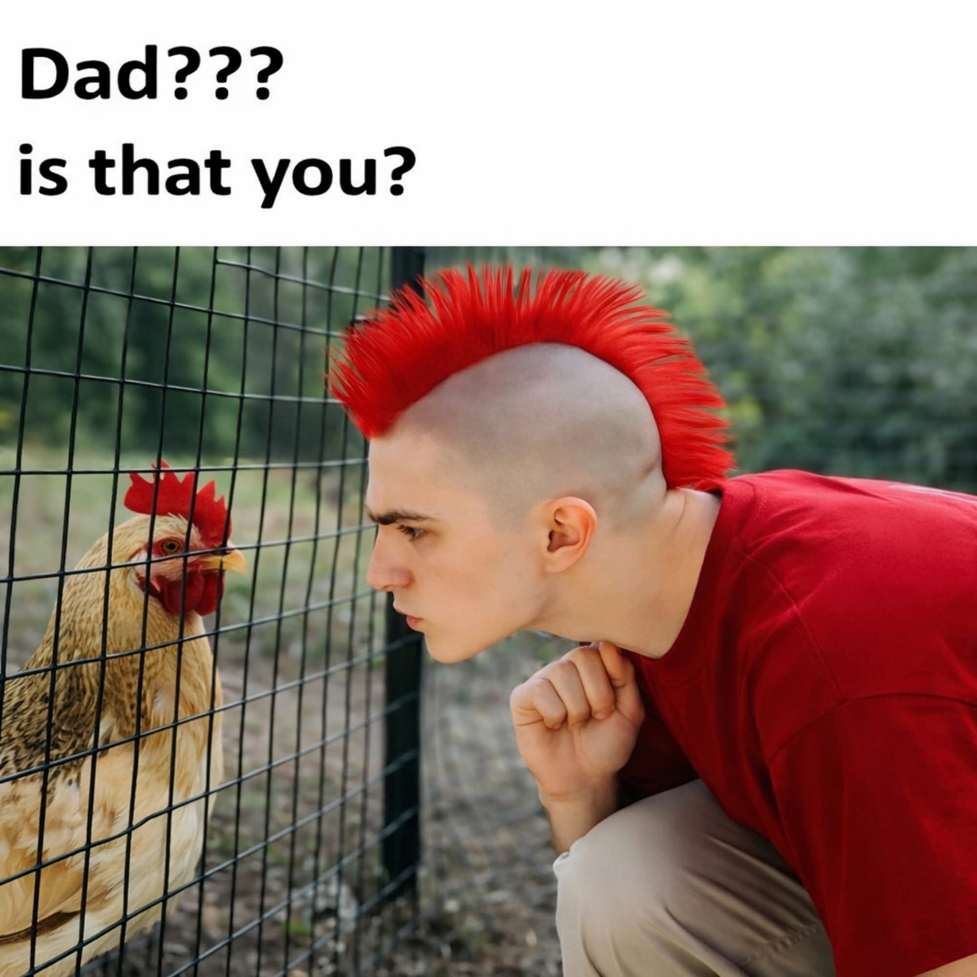 20 Memes That Used Sarcasm as a Personality Trait 9 is that you