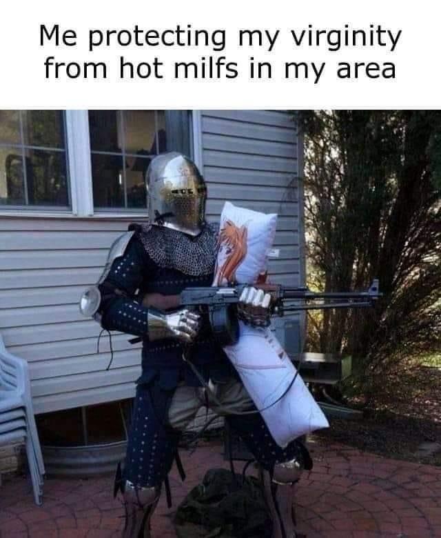 20 Memes That Make You Laugh Before Your Brain Can Stop You 17 me protecting