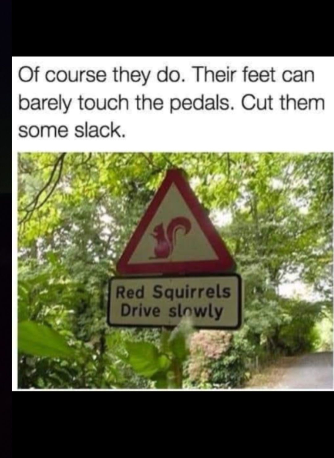 20 Memes That Are Light on the Outside, Loud on the Inside 16 ofcourse they do