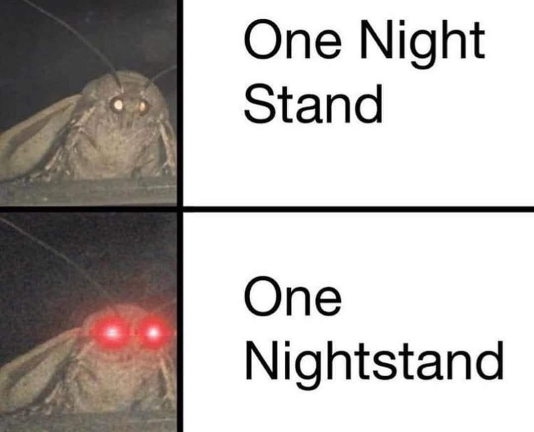 one night stand