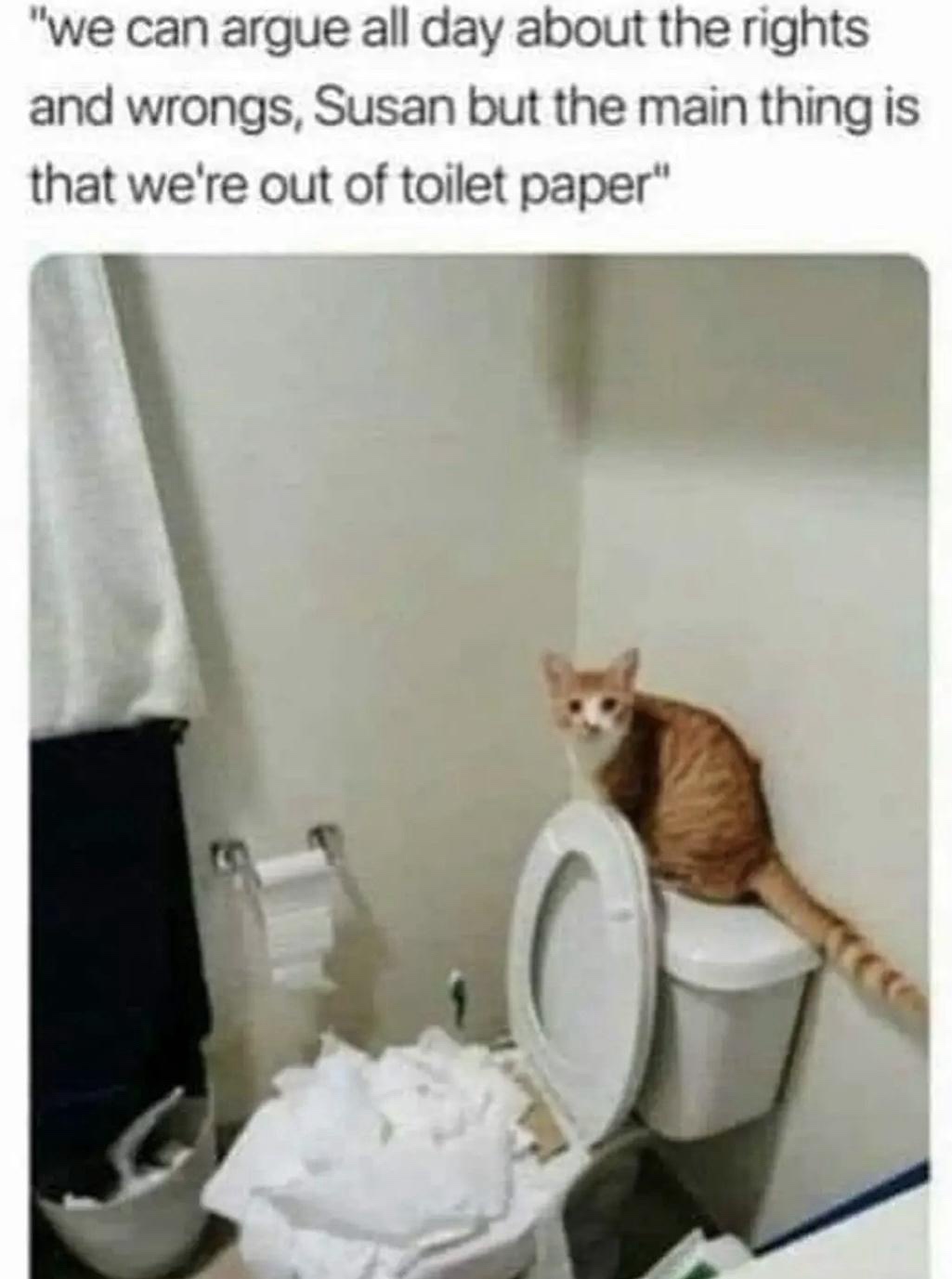 out of toilet papaer