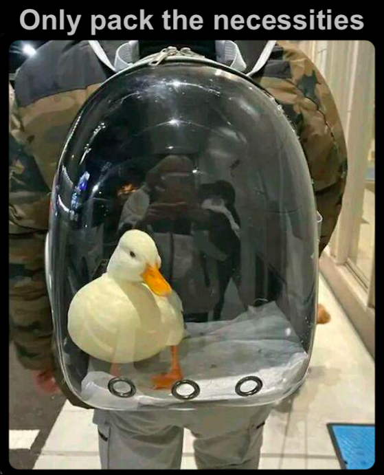 pack the necessities