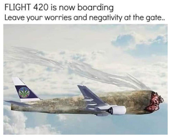 plight 420